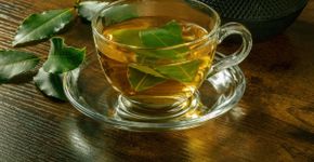 6 receitas de chá de louro para melhorar a digestão