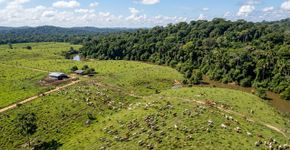 1/3 das terras agrícolas do planeta concentra 2/3 das perdas de biodiversidade e carbono, revela estudo global