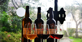 Como beber vinho de graça em Portugal