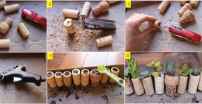 Faça você mesmo um minijardim com rolhas