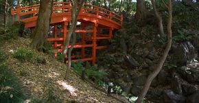 Conheça os 12 jardins botânicos mais bonitos do mundo