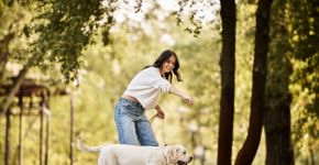 Como cuidar do pet com a rotina corrida: 7 dicas essenciais
