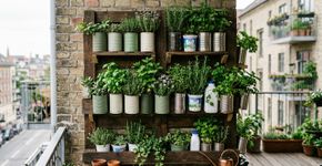 Como fazer um mini jardim vertical usando materiais que normalmente iriam para o lixo