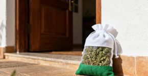 Onde colocar folhas de orégano em casa para atrair dinheiro em novembro, segundo o Feng Shui