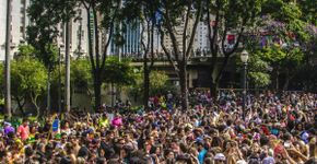 Bloco Grêmio Recreativo Bloco Carnavalesco Manga Rosa na avenida do Cursino
