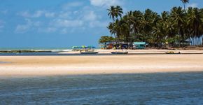 Foto: (Roman_Rahm/iStock)