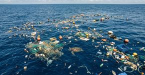 Uma “ilha de lixo” giratória ocupa 1,6 milhão de km² no Pacífico: plástico chega a uma média de 50 kg por km² e até 86% dos detritos vêm da pesca
