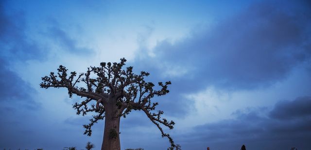 Exposição ‘Entre o Aiyê e o Orun’