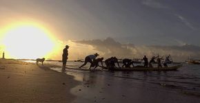 Confira mostras especiais do Festival É Tudo Verdade