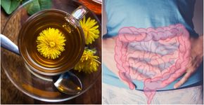 Foto: (manuel_adorf/Sewcream/istock)