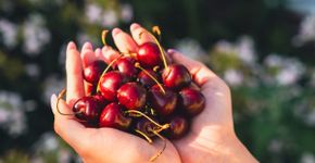 Confira os benefícios da cereja para a saúde