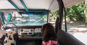 Trilha para todo o tipo de cachorro, até para os deficientes como a Ella