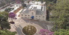 Foto: (Instituto Butantan/Divulgação)
