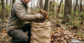 Não descarte todas as folhas que caem no quintal: como transformá-las em um material que melhora o solo usando umidade e decomposição, sem precisar ficar revolvendo a mistura