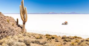 Foto: (Subbotsky/iStock)