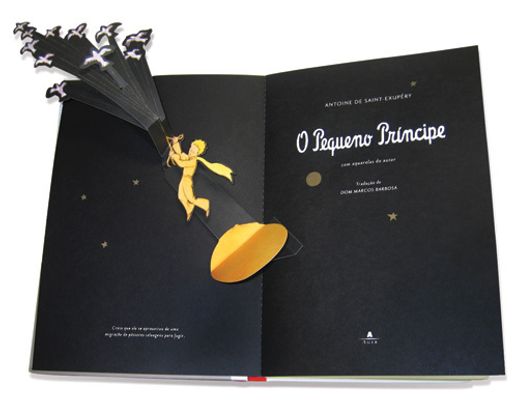 Foto do livro
