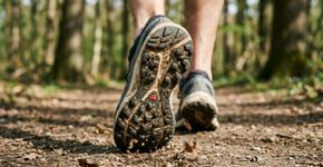 Sair para caminhar em vez de ir para academia é muito bom, mas só funciona se a caminhada durar no mínimo 30 minutos seguidos, sem interrupções e a uma velocidade constante de aproximadamente 5 km/h