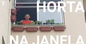 Horta na janela