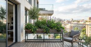Vasos de flores estão fora de moda: a tendência de 2026 que transforma qualquer jardim, varanda ou terraço
