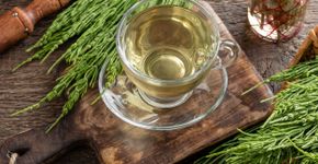 Foto: (Madeleine_Steinbach/istock)