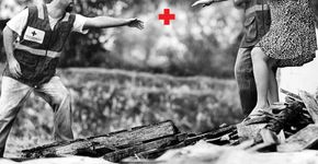 Faça um mundo melhor: vagas no Greenpeace, Médicos sem Fronteiras e Cruz Vermelha
