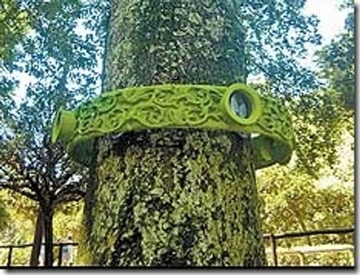 Os anéis ficam até o fim de março