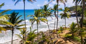 Onde as celebridades relaxam: as praias favoritas dos famosos