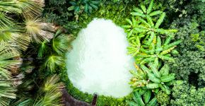 Foto: (iStock/FG Trade)