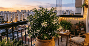 A flor de perfume marcante que era o orgulho do jardim da vovó e que hoje floresce com força na sua janela com apenas três horas de sol todos os dias