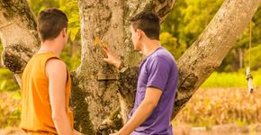 Pesquisa indica que metade da população mundial pode ter ‘gene gay’
