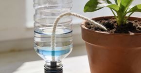 O truque do vaso que se rega sozinho para as plantas nunca mais morrerem
