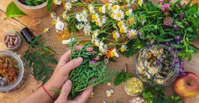 Foto: (iStock/Yana Tatevosian)