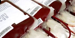 Defensoria pede fim das restrições para gays doarem sangue no Brasil