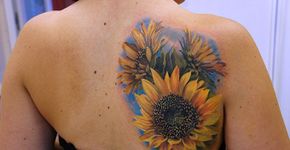 Seleção de tatuagens femininas