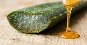 Como fazer um sérum facial com babosa e mel para suavizar manchas escuras e deixar a pele hidratada e uniforme