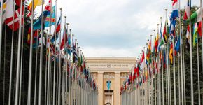 Foto: (Mathias PR Reding/Pexels)