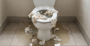 O papel higiênico não deve ser jogado dentro do vaso sanitário. Entendi tarde demais o motivo para isso