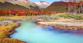 Foto: (Istock/Neurobite)