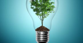 Salvador recebe evento global de sustentabilidade