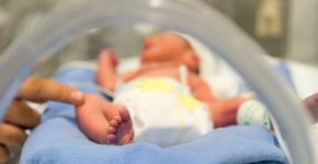Bebês prematuros recebem apoio de fonoaudiologia em maternidade