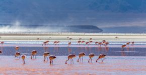 10 destinos imperdíveis na América do Sul