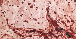 Mulher faz pintura de bebê com sangue de menstruação