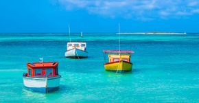 Foto: (Flavio Vallenari/iStock)