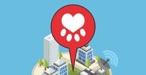 App usa experiência do game Pokémon Go para salvar animais