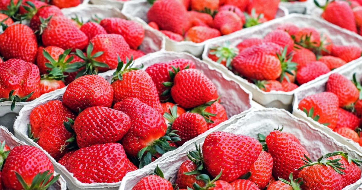 Central Plaza Shopping recebe Festa do Morango
