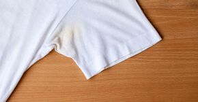 Foto: (iStock/yokeetod)