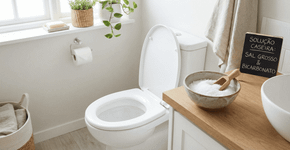 Por que muitos recomendam jogar sal e bicarbonato de sódio no vaso sanitário?