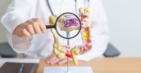 Foto: (iStock/Panuwat Dangsungnoen)