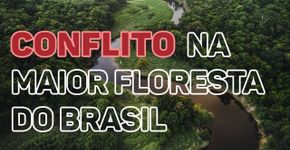 Amazônia Sem Lei: desmatamento, grilagem, garimpo e queimadas