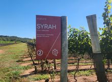 Featured side: Entre vinhos e cervejas, Uberaba (MG) oferece novas experiências ao visitante